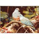 کد 107 - تابلو فرش حیوانات کبوتر 