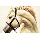 کد 112 - تابلو فرش حیوانات اسب 