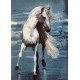 کد 155 - تابلو فرش حیوانات  اسب 