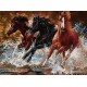کد3104 تابلو فرش حیوانات- اسب های وحشی