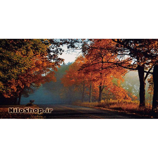 کد3319 تابلو فرش طبیعت و منظره - جاده ی پاییزی